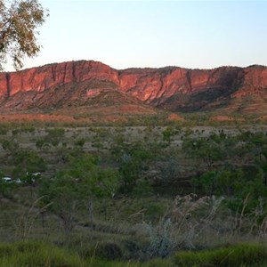 Bungles at dusk