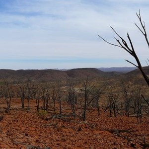 Gawler Ranges - hard country