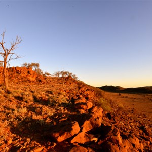 Dawn Breaks over Mutawintji NP