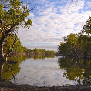 The Billabong - Trilby Station