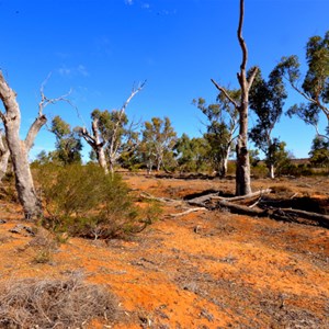 Cobb and Co Route - Broken Hill to White Cliffs 