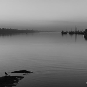 Silent Harbor view