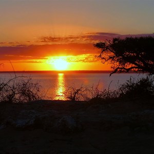 Tamala Station Shark Bay, WA