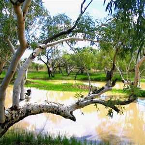 Sturt Creek