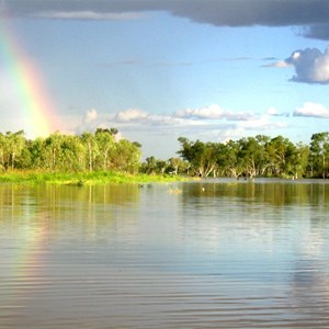 Sturt Creek In Flood