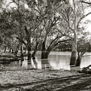 The Billabong - Trilby Station