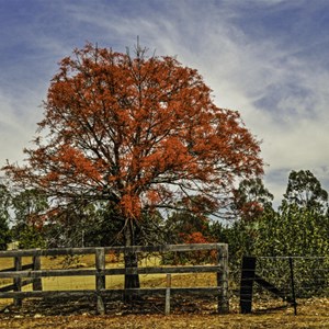 Homestead Entrance Near Scone