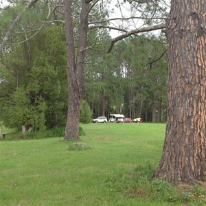 Taylor's Arm Community Campground