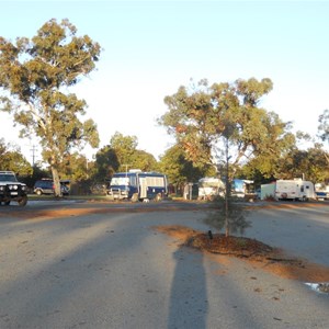 Wagin Caravan Park