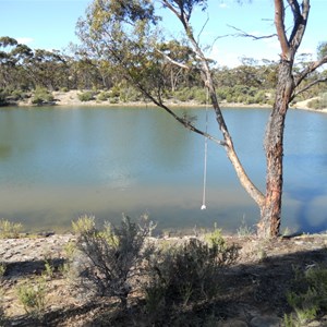 Bromus Dam