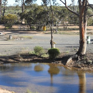 Camp area of Bromus Dam