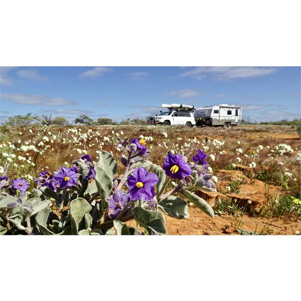 Road to Ningaloo