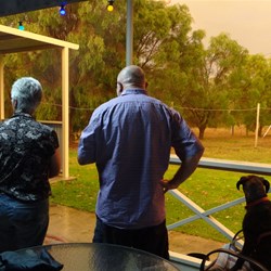 watching the downpour even Sally the dog.