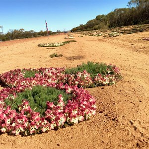 Wreath flowers at Pindar