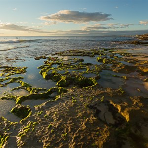 North Beach reef