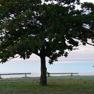 Roebuck Bay