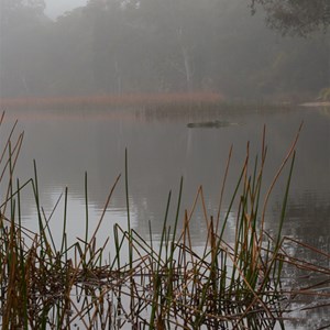 early mist