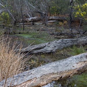 Waterside Walk