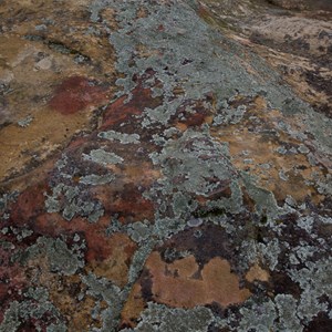 Rock