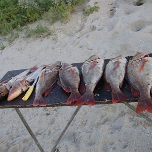 Fishing by Boat at Bruboodjoo