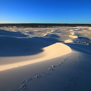 Bilbunya Dune scape east of Israelite Bay