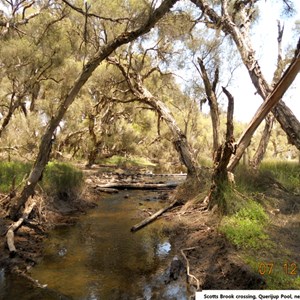 Scotts Brook Crossing