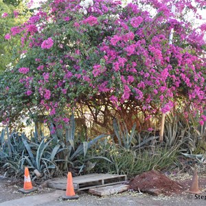 Halls Creek Caravan Park