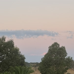 Forrest Caravan Park
