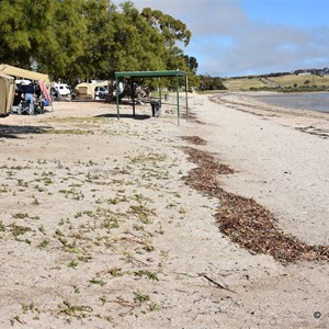 Foreshore Tourist Park