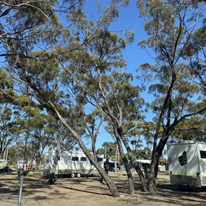 Newdegate Caravan Park