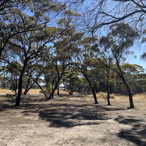 Newdegate Caravan Park