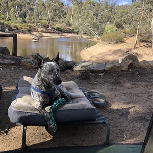 Toodyay Holiday Park & Chalets