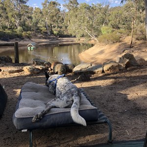 Toodyay Holiday Park & Chalets