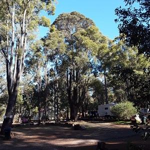 Lake Navarino Forest Resort