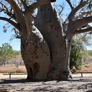 Wyndham Caravan Park