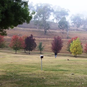 Autumn colour on a misty morning