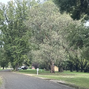 Omeo Holiday Park