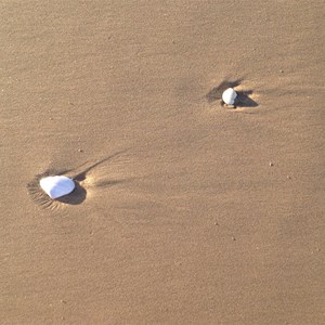 Stockton Beach sand