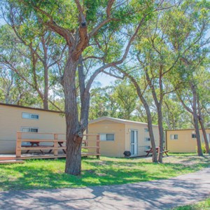 Family Cabins