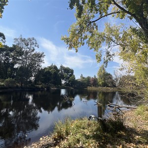 Grampians Paradise Camping & Caravan  Parkland