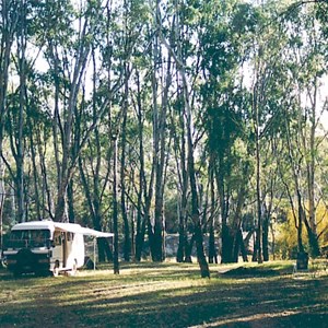 camp green 