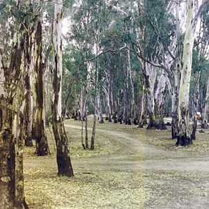 barmah