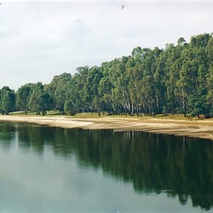 grassy beach