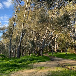 Ovens Rv - River Rd Reserve
