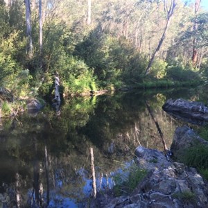 Buffalo River State Forest - Blades Camp