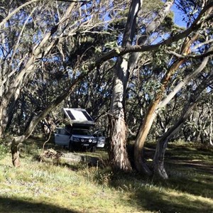 Buckety Plain Campground