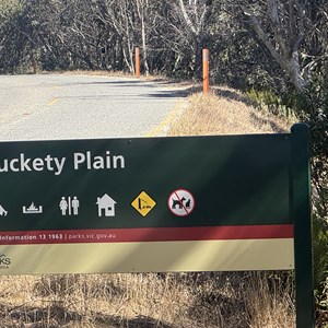 Buckety Plain Campground