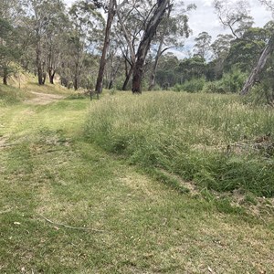 Grassy Flat camp