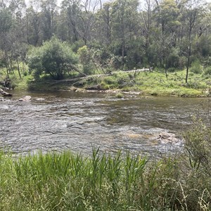 Grassy Flat camp