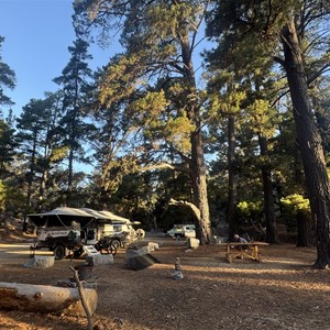 The Oaks Campground